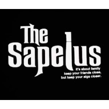 The Sapelus: it's about family, keep your friends close, but keep your aiga closer. BLK | T-Shirts | Unisex T's
